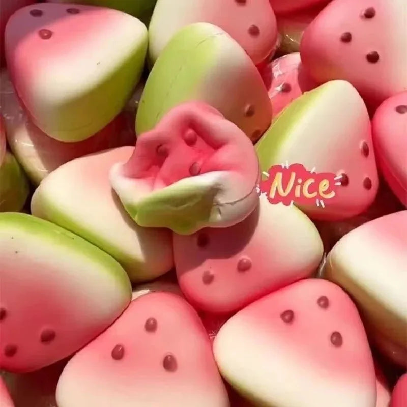 Squishy Watermelon Fidget Toy